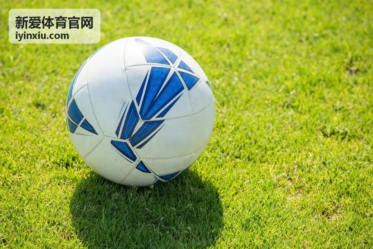 新爱体育官网内容更新节奏示意