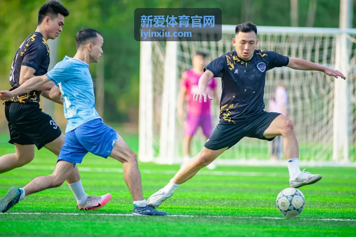 新爱体育官网专题合集连续播放封面