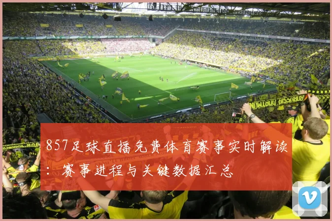 857足球直播免费体育赛事实时解读：赛事进程与关键数据汇总