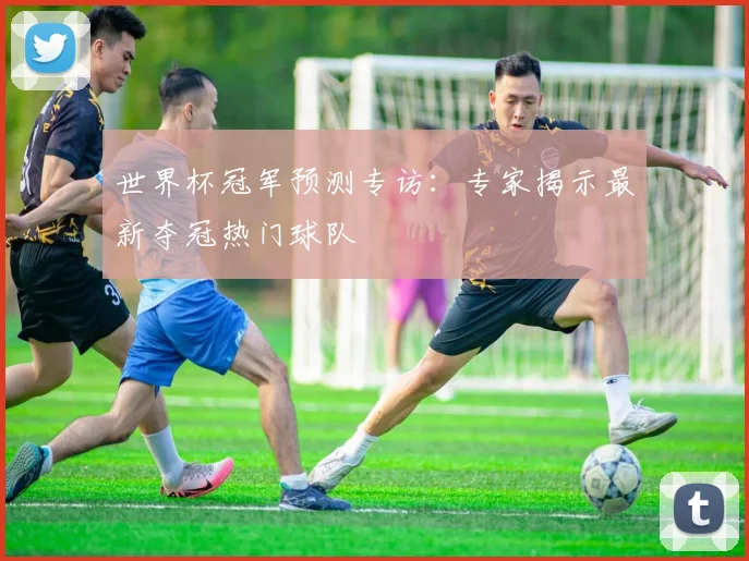 世界杯冠军预测专访:专家揭示最新夺冠热门球队