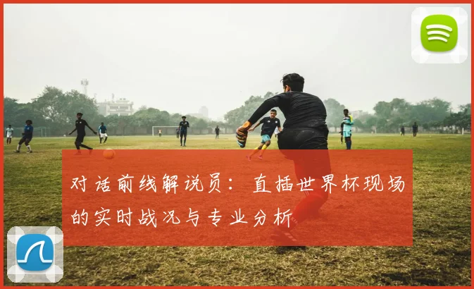 对话前线解说员:直插世界杯现场的实时战况与专业分析