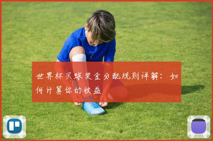世界杯买球奖金分配规则详解:如何计算你的收益